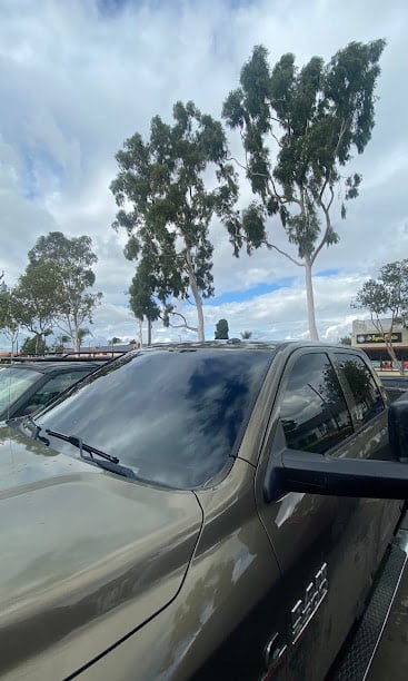 Car parked in lot with eucalyptus trees under cloudy sky